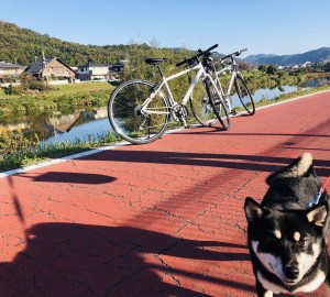 ポタリング　時々、山登り
