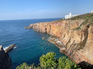 IMG_0876