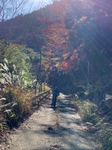 サイクリング＆紅葉
