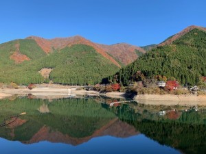 IMG_1028