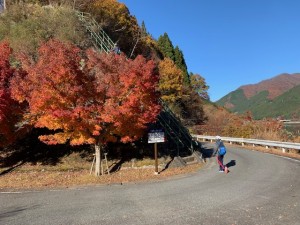 IMG_1040