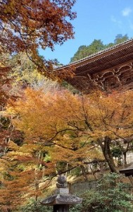 紅葉