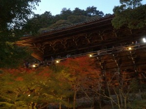お家話は休憩…( ´∀｀ )