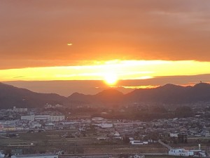 IMG_8562