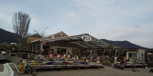 はなもん