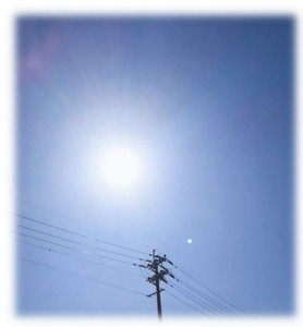 朝から春を感じております(^o^)丿