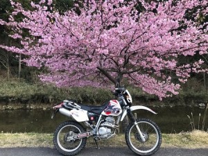 3.28.3