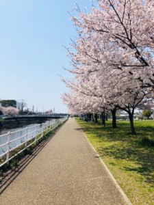 コロナ疲れを乗り切ろう