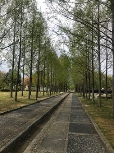 4.24.4
