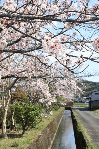 太子町にて、O様邸にてお引き渡しでした