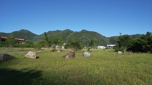 DSC_0967