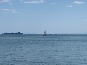 IMG_1815