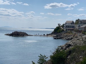 IMG_1819