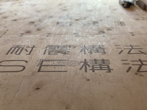 IMG_8947-1