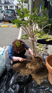 月初めの全体清掃