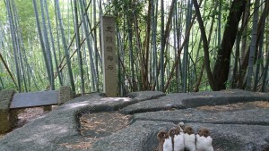 酒船石