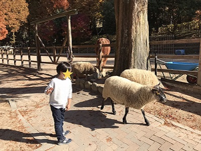 動物とのふれあい