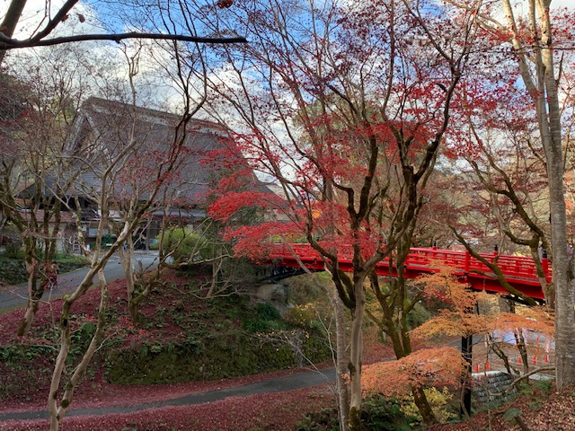紅葉＆かに