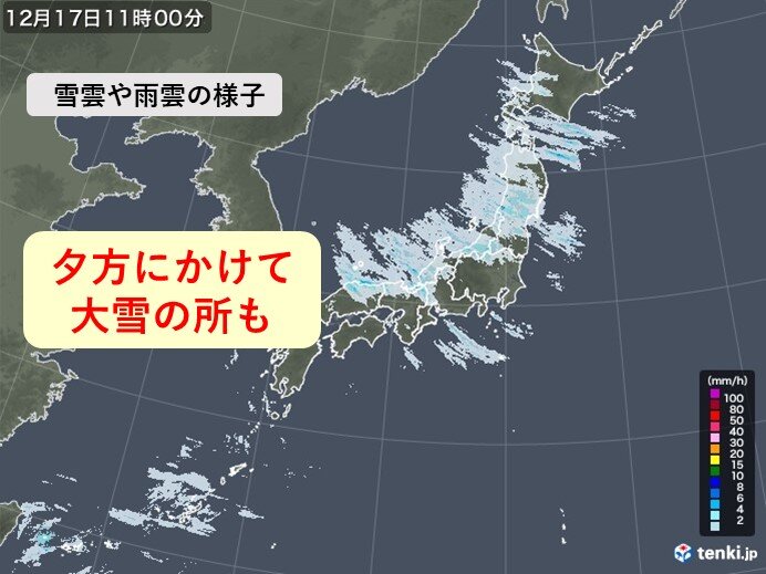 冬の準備