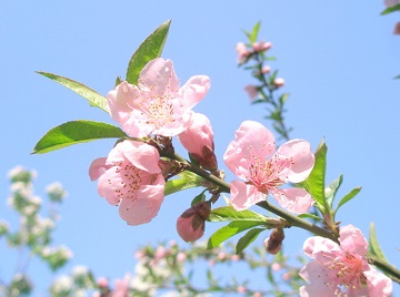 もうすぐ3月