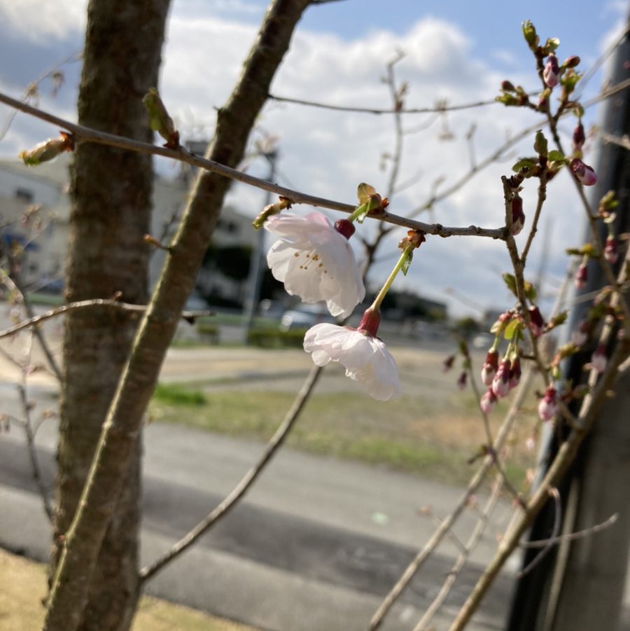 宿泊体験してきました！