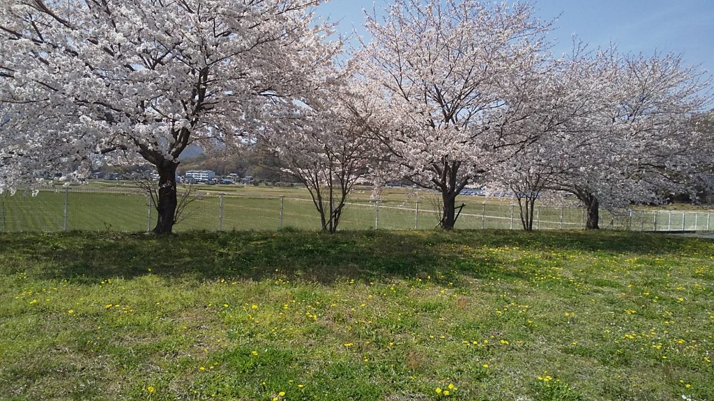 本日 入社式を行いました。
