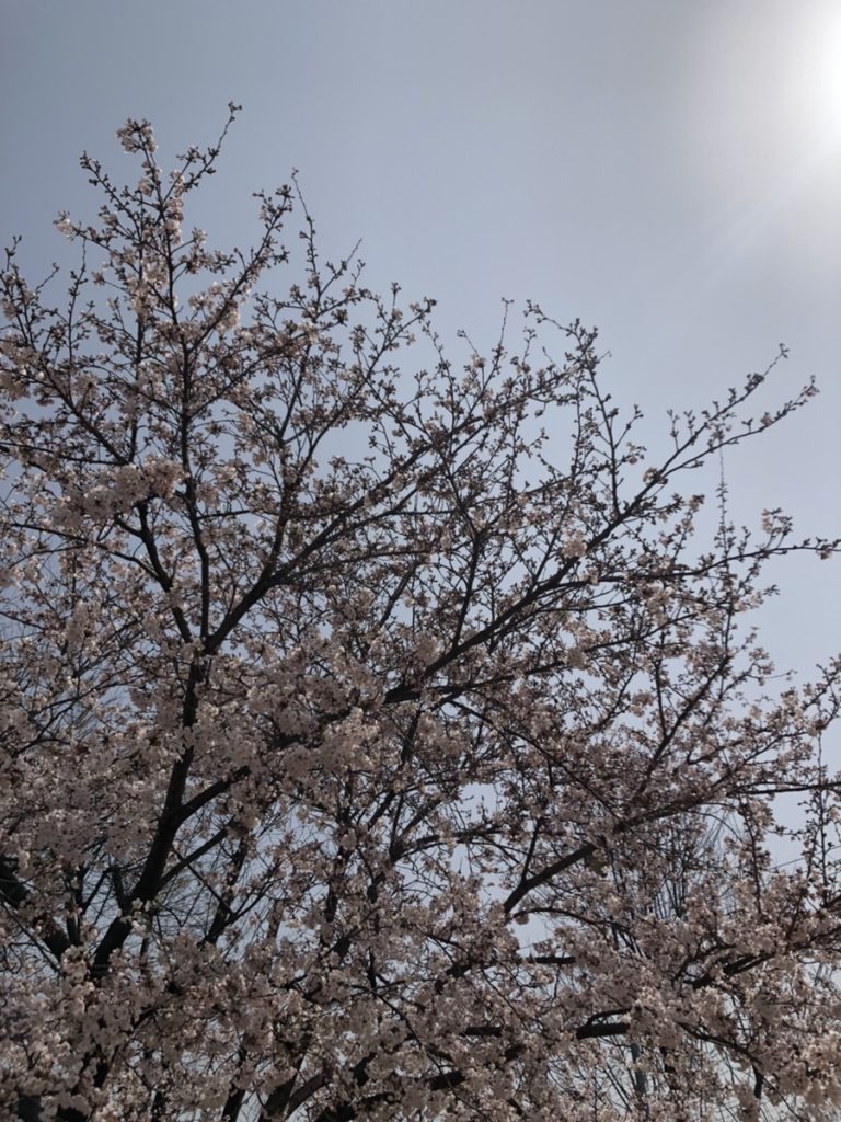 はじめまして