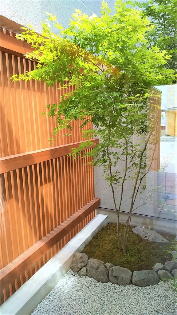 玄関開けたら～