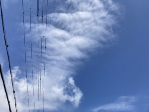晴れの日には