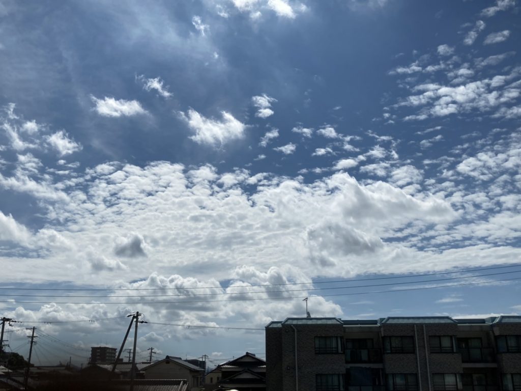 もう夏ですね。