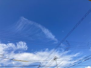 今週の嬉しい事
