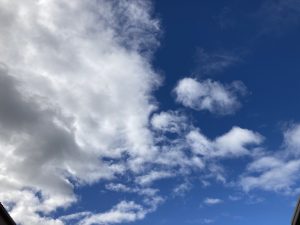 少し肌寒くなってきました