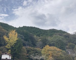 ハロウィン