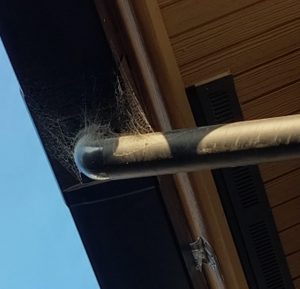 もうそろそろ準備を(>_<)