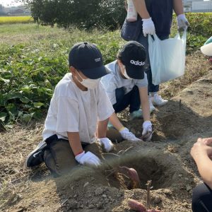 サツマイモ堀り