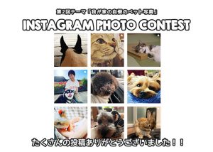 『フォトコンテスト』ご応募ありがとうございました！