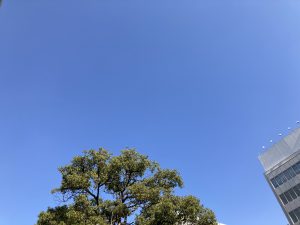 去年の今頃は…