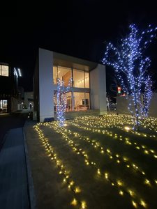Xmasイルミネーション★～姫路支店にて～