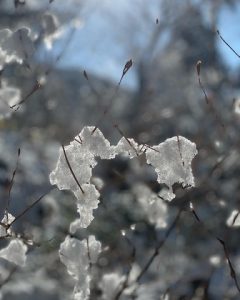 今年の目標