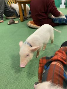 癒しの時間