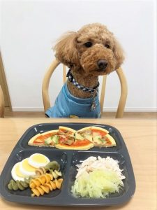 春が待ち遠しいです????