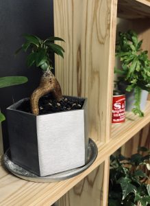 緑のある暮らし。