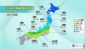 花粉の季節