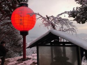 今年は寒いですね