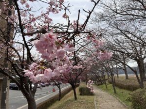 最近の間取りのトレンド！