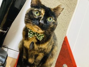 春分の日????