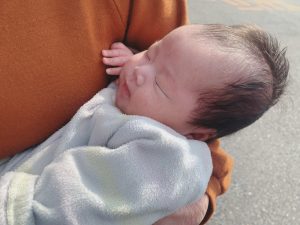 癒し。
