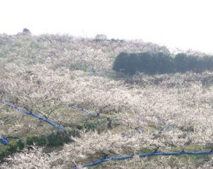 お気に入りの景色