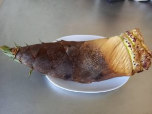 孫からのプレゼント♪