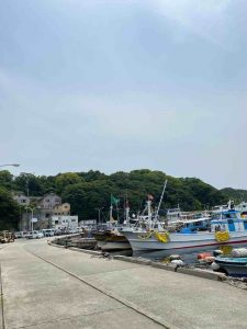 久しぶりに
